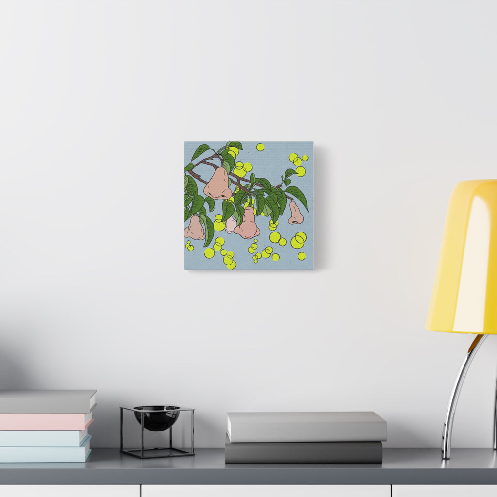 Pear Blossom- Canvas Print- Wall Art